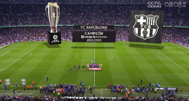 两类玩家的 两类玩家的